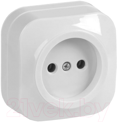Изображение товара Розетка IEK Glory ERH10-K01-10 (белый)