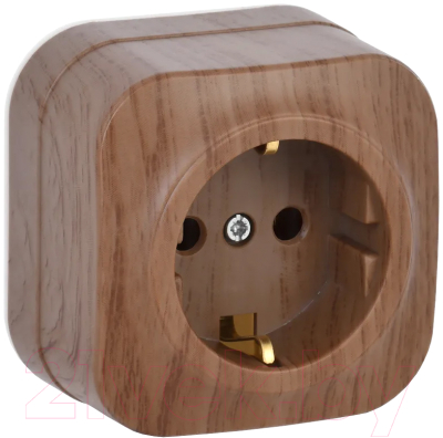 Изображение товара Розетка IEK Glory ERH11-K24-16 (дуб)
