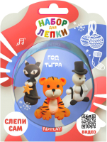 

Набор для творчества ND Play, Год Тигра / 300637