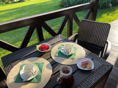 Стул пластиковый Ingreen Rattan / ING6182ГШК (горький шоколад)