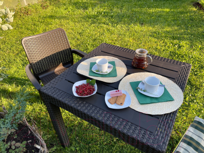 Стул пластиковый Ingreen Rattan / ING6182ГШК (горький шоколад)
