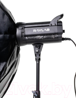 Осветитель студийный RayLab RL-100 Sunlight 5600K