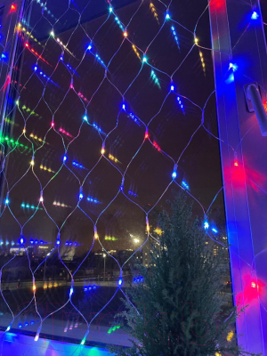 Изображение товара Светодиодная сеть ЭРА ENIS-01R / Б0041902