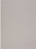 Рулонная штора LEGRAND Лайт 38x175 / 58095207 (светло-серый) - 