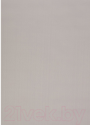 Рулонная штора LEGRAND Лайт 38x175 / 58095207 (светло-серый)