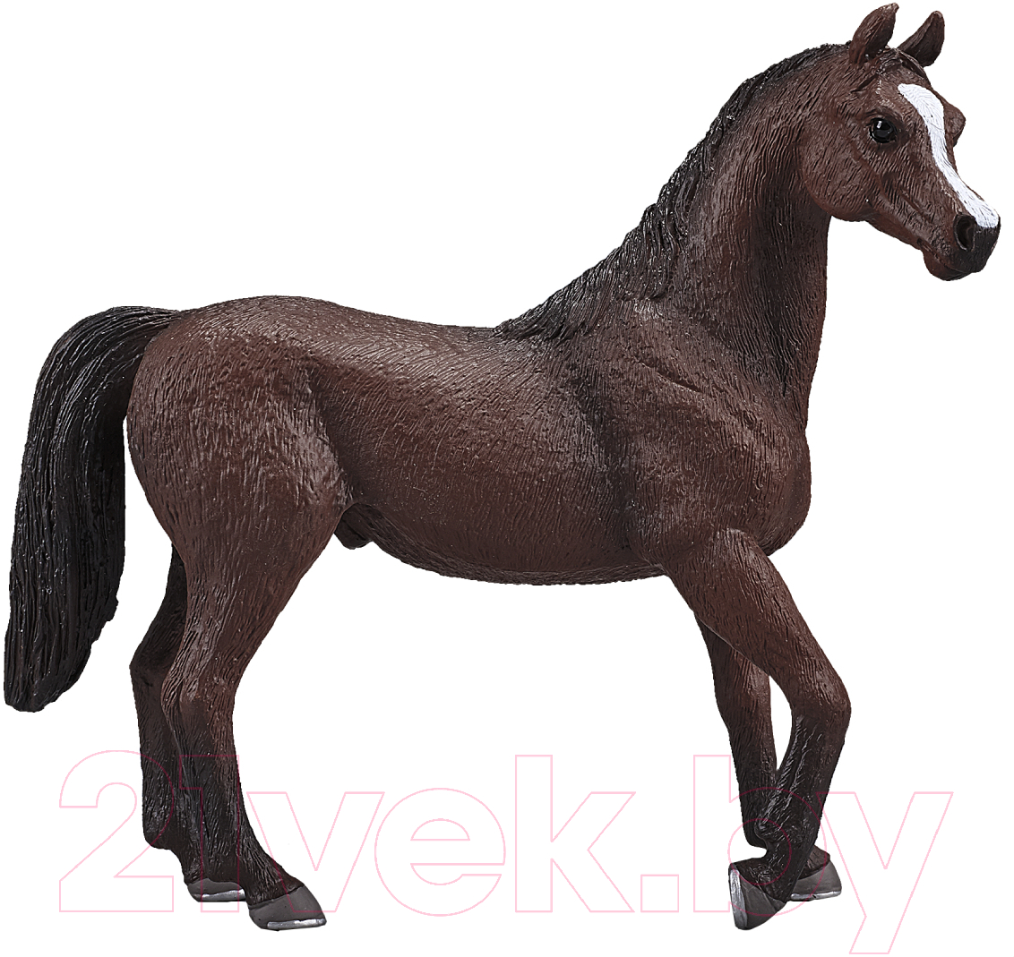 Фигурка коллекционная Konik Арабский жеребец Гнедой / AMF1032 — фото 2