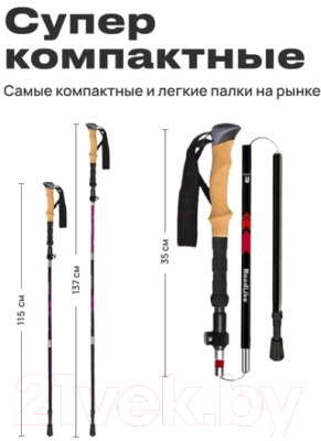 Трекинговые палки RoadLike Carbon / 368219 (зеленый)