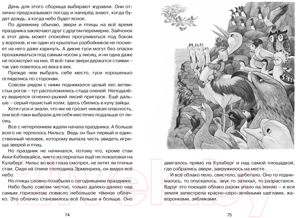 Художественная книга Махаон Чудесное путешествие Нильса с дикими гусями (Лагерлеф С.) — фото 5