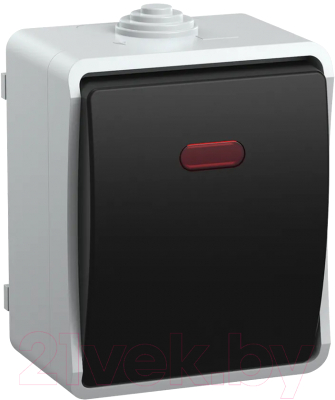 Выключатель IEK Форс EVS11-K03-10-54-DC (серый)