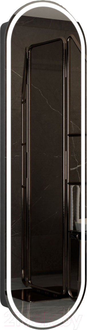 Шкаф с зеркалом для ванной Континент Elmage Black Led 45x160