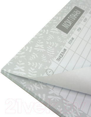 Изображение товара Планинг Канц-Эксмо Weekly 2. No 2 / ПНС2245506 (серый)