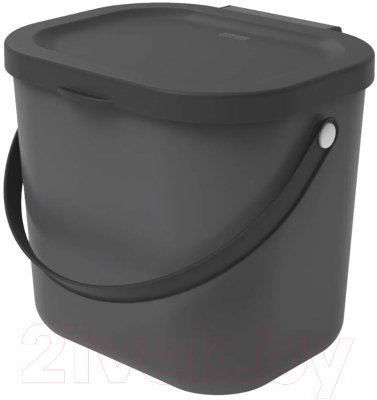 Контейнер для мусора Rotho Albulino / 1030308853 (6л, серый)