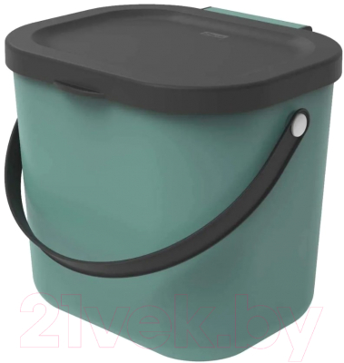 Контейнер для мусора Rotho Albulino / 1030305092 (6л, зеленый)
