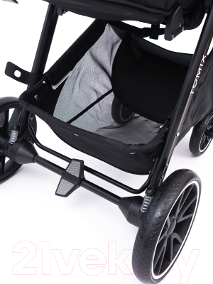 Детская универсальная коляска Tomix Aura 2 в 1 / BS-077 (черный)