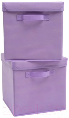 Набор коробок для хранения Home One 385550 (2шт, фиолетовый)