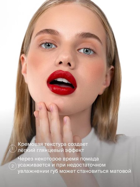 Помада для губ Divage Lipstick Praline New тон 10
