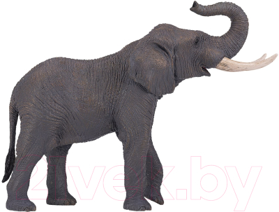 Фигурка коллекционная Konik Африканский слон Самец / AMW2003