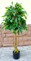 Искусственное растение ForGarden Ficus Topiary / BF01692 - 