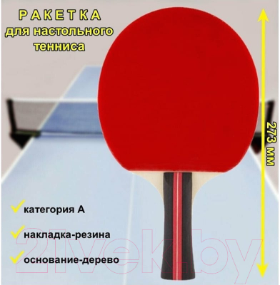 Ракетка для настольного тенниса Победить PPR-A / 323139