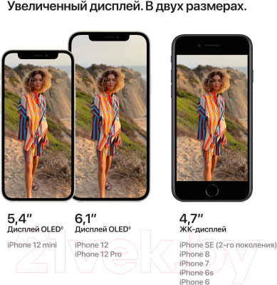 Изображение товара Смартфон Apple iPhone 12 64GB A2403 / 2AMGJ83 восстановленный (синий)