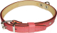 Миниатюра изображения товара Ошейник Сима 1220RE (красный)