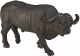 Фигурка коллекционная Konik Африканский буйвол / AMW2054 - 