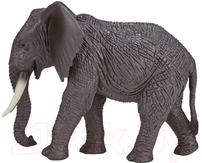 Фигурка коллекционная Konik Африканский слон Самка / AMW2090
