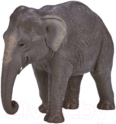 Фигурка коллекционная Konik Азиатский слон / AMW2115