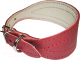 Миниатюра изображения товара Ошейник Сима Сельдь h1210RE (красный)