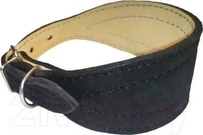 Изображение товара Ошейник Сима Сельдь h1210BL (черный)