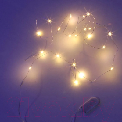 Изображение товара Светодиодная гирлянда SHLights Нить / LDM020WW-BO 20 (1.9м)