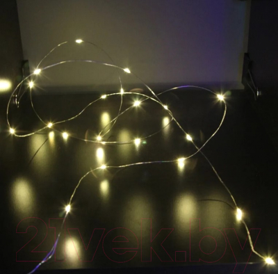 Изображение товара Светодиодная гирлянда SHLights Нить / LDM020WW-BO 20 (1.9м)