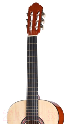 Акустическая гитара Homage LC-3900-N