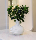 Миниатюра изображения товара Ваза Rosenthal Studio-Line Fast White / 14271-800001-26022 (белый)