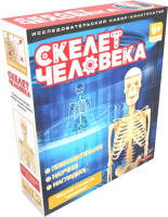 Научная игра ND Play Скелет человека / 277382 - 