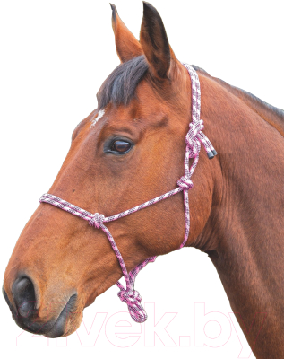 Недоуздок для лошади Shires 389/PNK/BLK (розовый/черный)