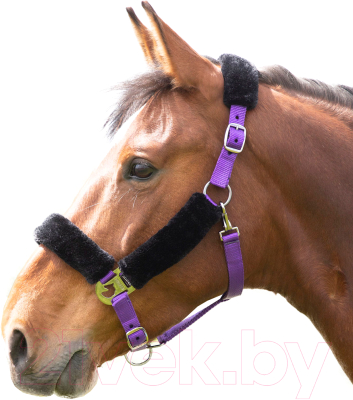 Недоуздок для лошади Shires 4165/PURPLE/COB (фиолетовый)