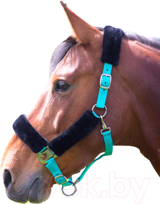 Недоуздок для лошади Shires 4165/TEAL/PONY (чирок)