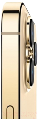 Смартфон Apple iPhone 13 Pro 128GB (золото) + адаптер CNE-CHA20W02 (SmartKit_13P128_gld)