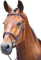 Оголовье для лошади Salisbury Bodenham XFULL / 293/AUSNUT/XFULL (австралийский орех) - 