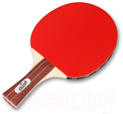 Ракетка для настольного тенниса Ekipa EK02