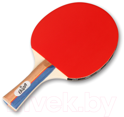 Ракетка для настольного тенниса Ekipa EK03