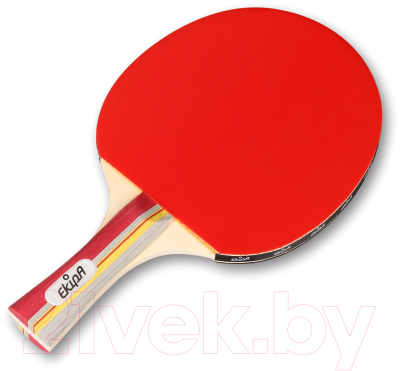 Ракетка для настольного тенниса Ekipa EK04