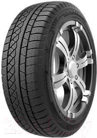 Зимняя шина Petlas Explero Winter W671 205/55R19 97H