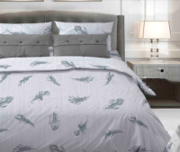 

Комплект постельного белья Rajtex, 298 рис. Флай 9 2.0