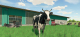 Миниатюра изображения товара Игра для игровой консоли PlayStation 5 Farming Simulator 22 (EU pack, RU subtitles)
