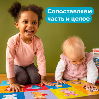 Развивающая игра Baby Toys Maxi. Водный мир / 02511 (24эл)