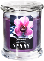 

Свеча Spaas, 0547016184