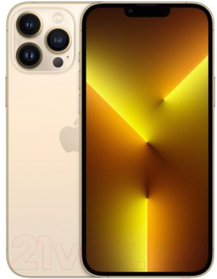 Смартфон Apple iPhone 13 Pro Max 128GB (золото) + адаптер CNE-CHA20W02 (SmartKit_13PM128_gld)