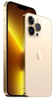 Смартфон Apple iPhone 13 Pro Max 128GB (золото) + адаптер CNE-CHA20W02 (SmartKit_13PM128_gld)